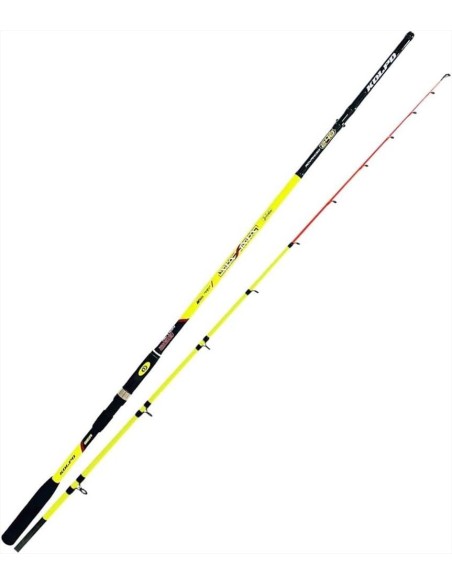 CANNA MAXIMA BOLENTINO  - Vendita online | pescaesportdaemily.it