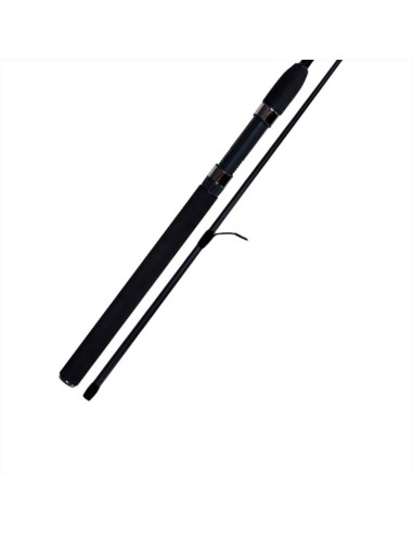 MALIKA SPIN RECAST 2SEC 1/10 GR